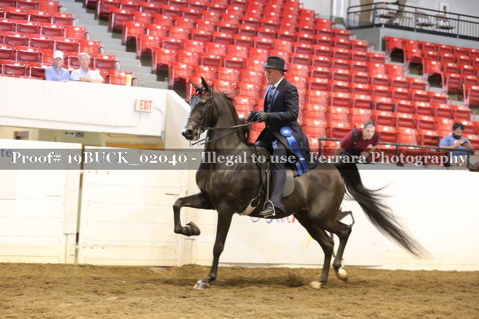 Proof 19BUCK_02040