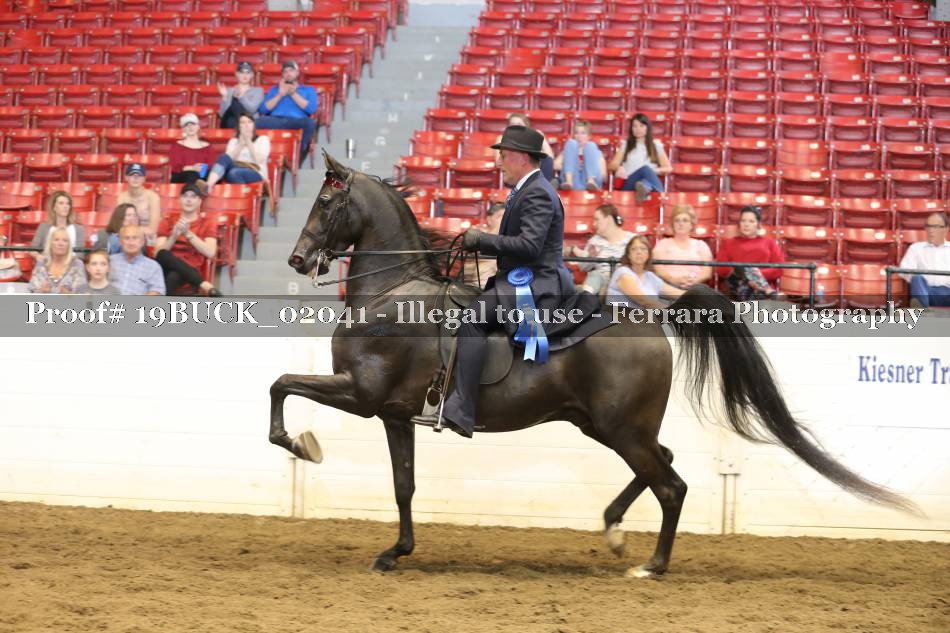 Proof 19BUCK_02041