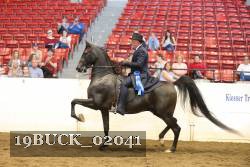 19BUCK_02041 proof