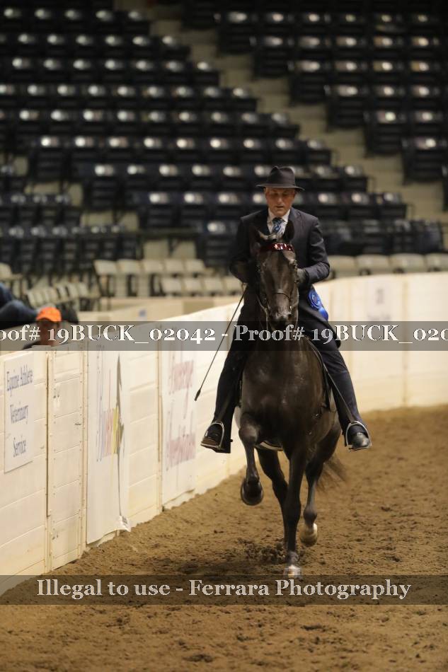 Proof 19BUCK_02042