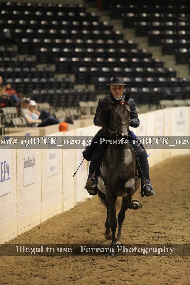 Proof 19BUCK_02043