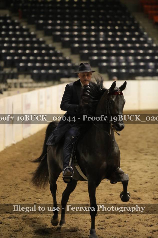 Proof 19BUCK_02044