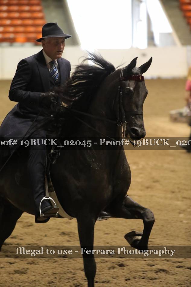 Proof 19BUCK_02045