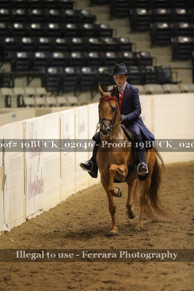 Proof 19BUCK_02046