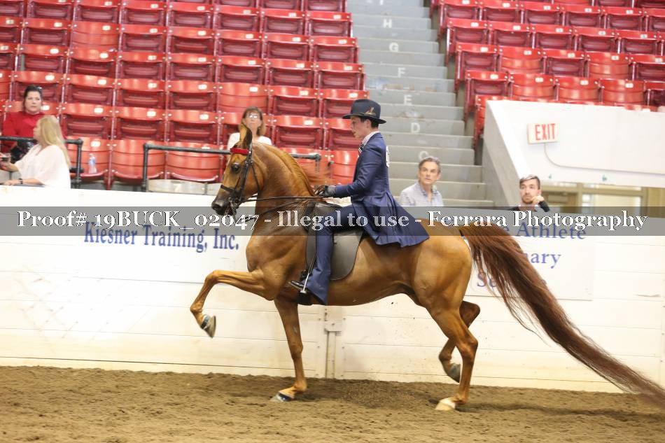 Proof 19BUCK_02047