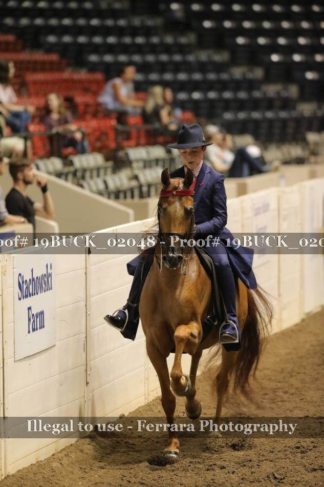 Proof 19BUCK_02048