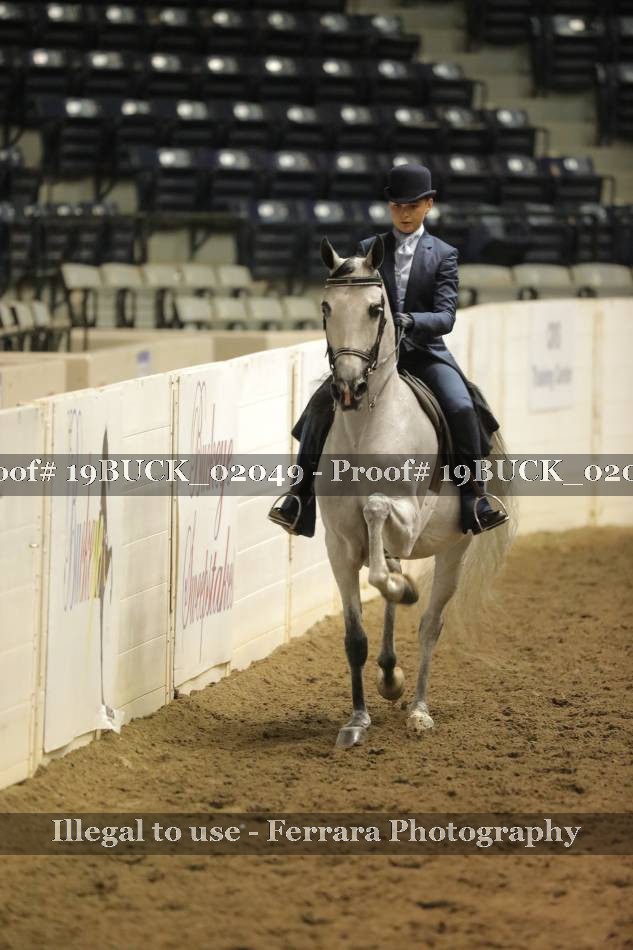 Proof 19BUCK_02049
