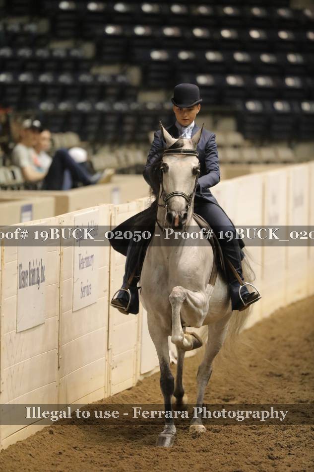 Proof 19BUCK_02050