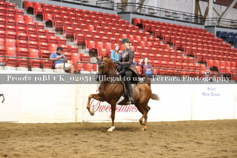Proof 19BUCK_02051