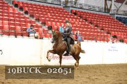 19BUCK_02051 proof