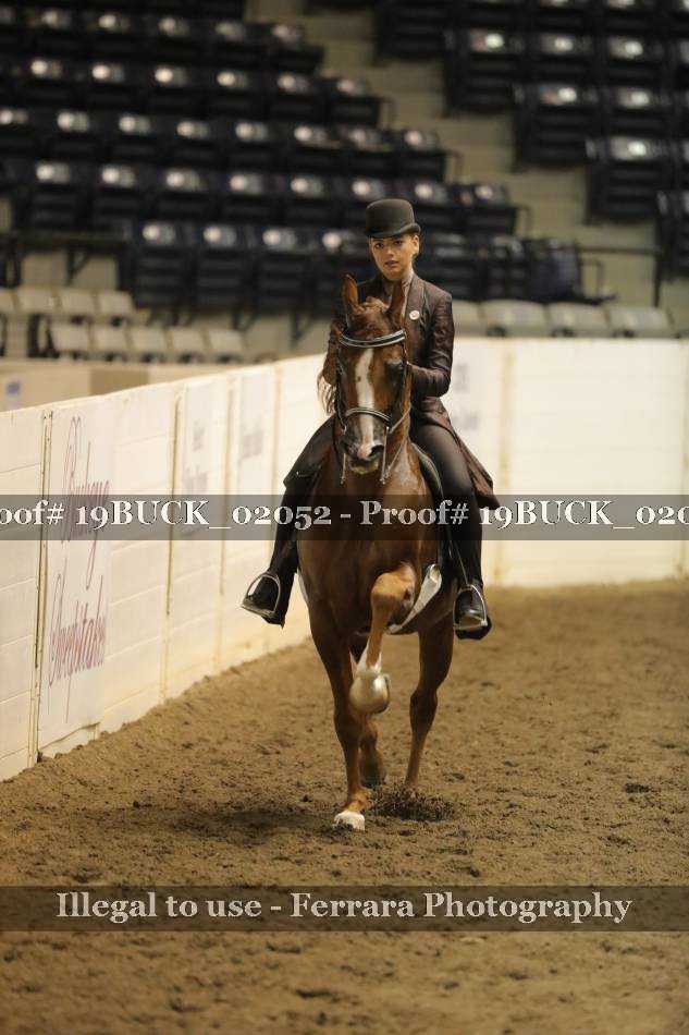 Proof 19BUCK_02052