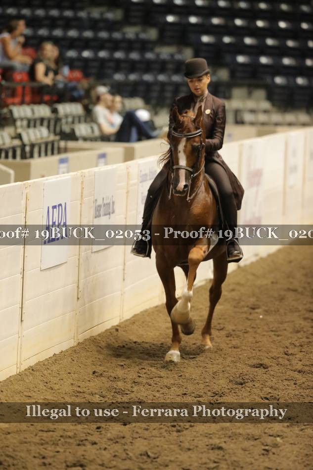 Proof 19BUCK_02053