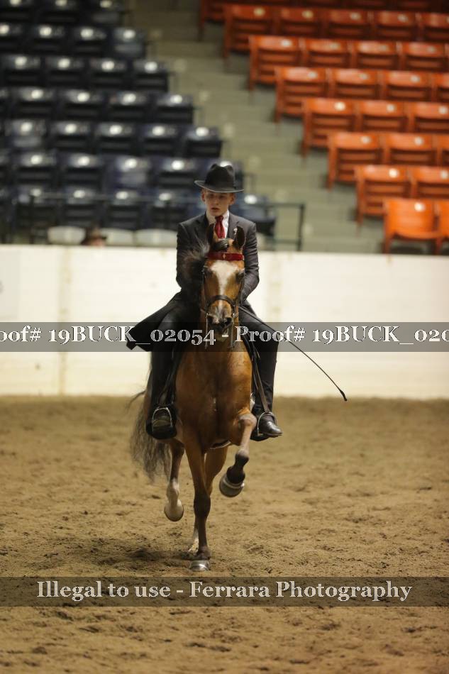 Proof 19BUCK_02054