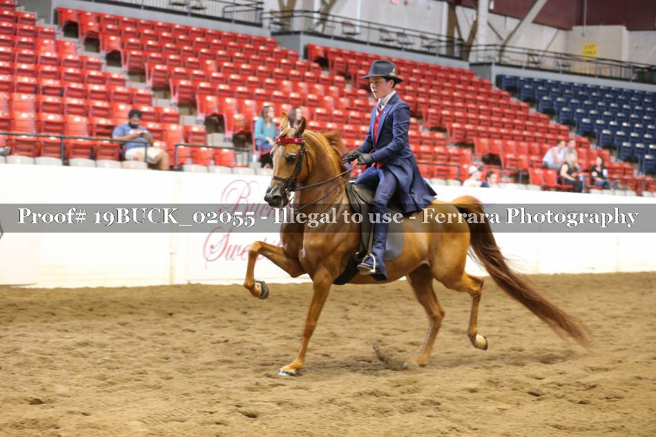 Proof 19BUCK_02055