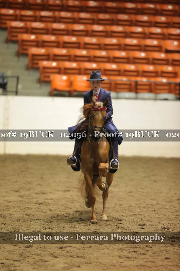 Proof 19BUCK_02056