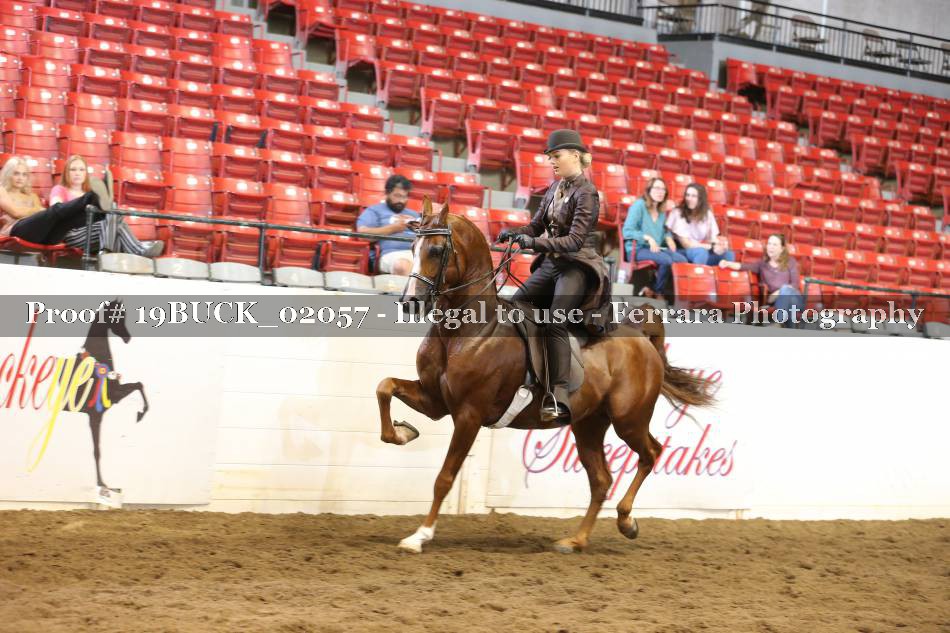 Proof 19BUCK_02057