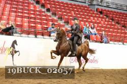 19BUCK_02057 proof
