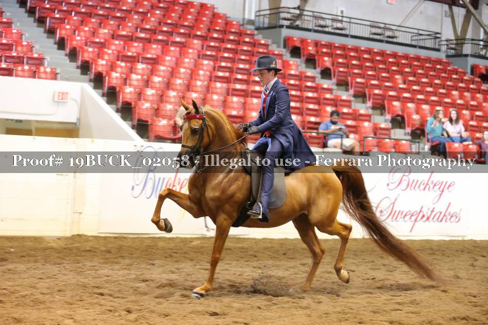 Proof 19BUCK_02058