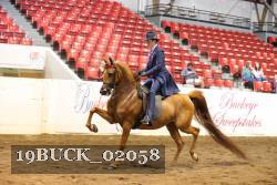 19BUCK_02058 proof