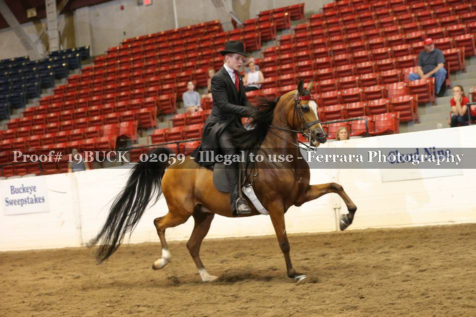 Proof 19BUCK_02059