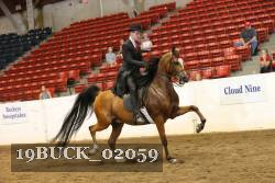 19BUCK_02059 proof