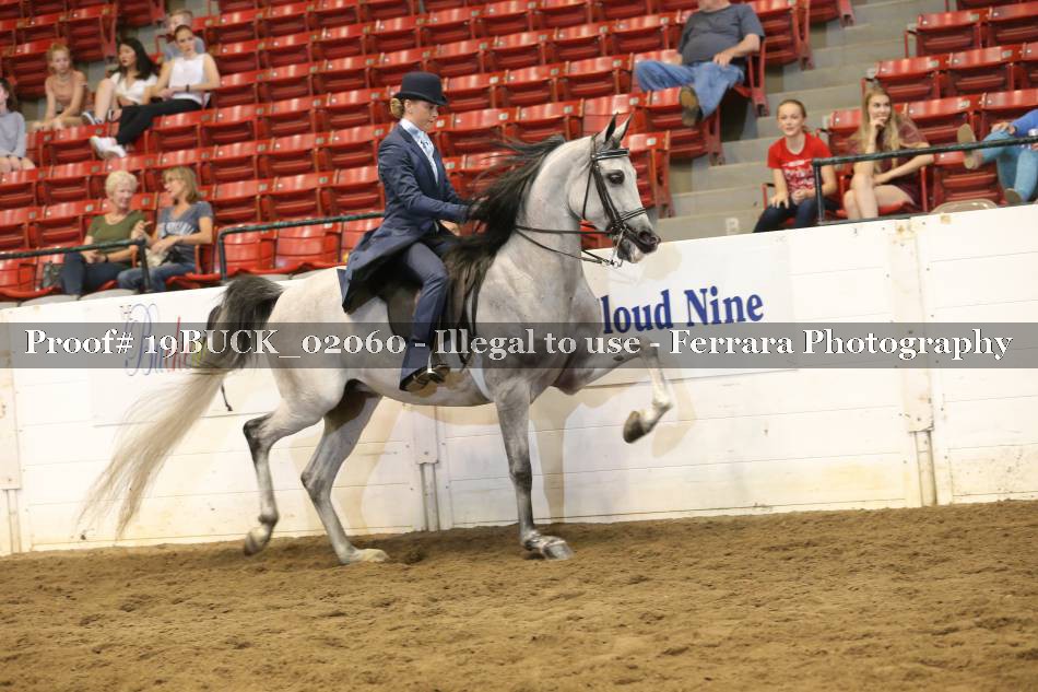 Proof 19BUCK_02060