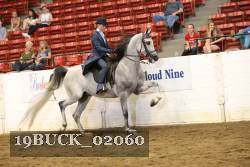 19BUCK_02060 proof
