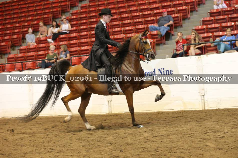 Proof 19BUCK_02061