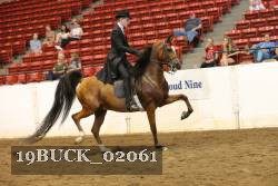 19BUCK_02061 proof