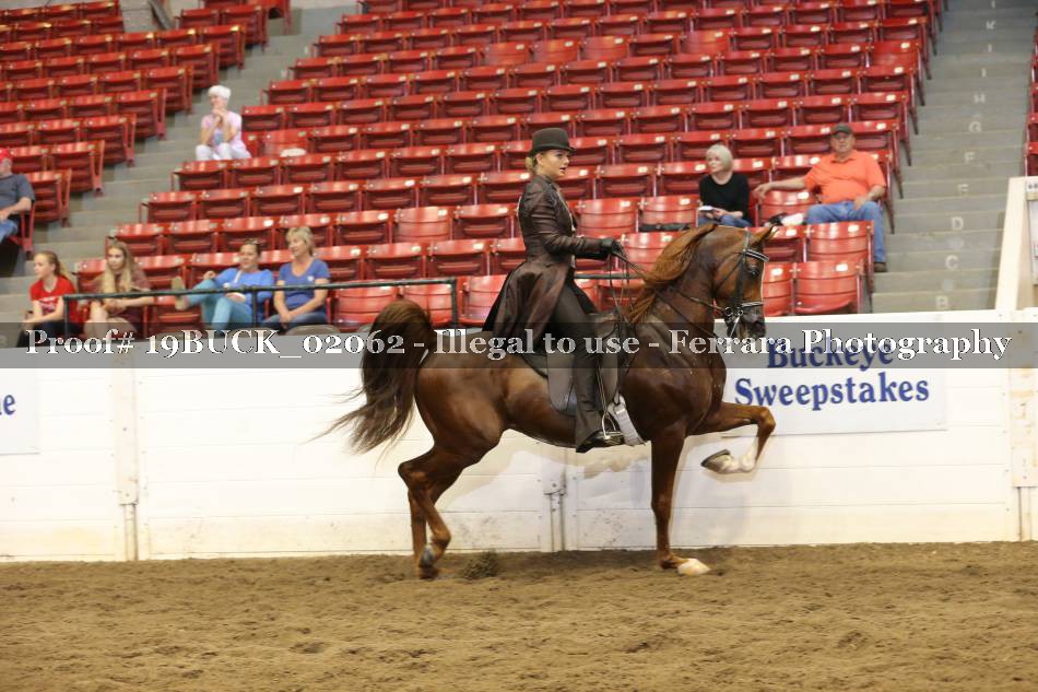 Proof 19BUCK_02062