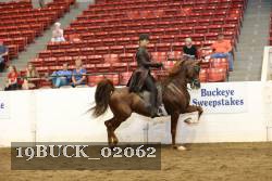 19BUCK_02062 proof