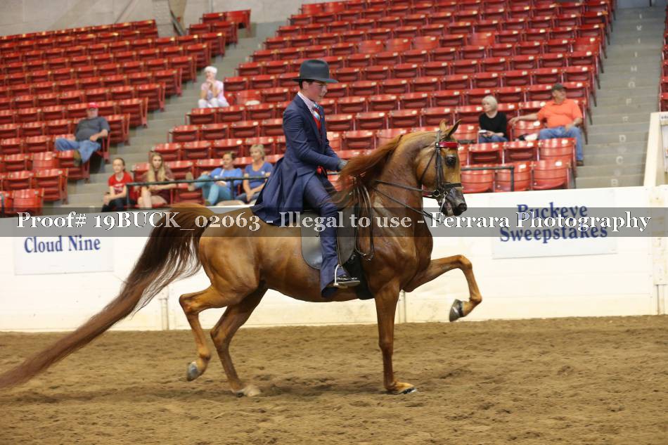 Proof 19BUCK_02063