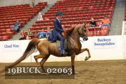 19BUCK_02063 proof