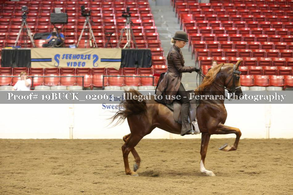 Proof 19BUCK_02064