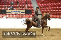 19BUCK_02064 proof