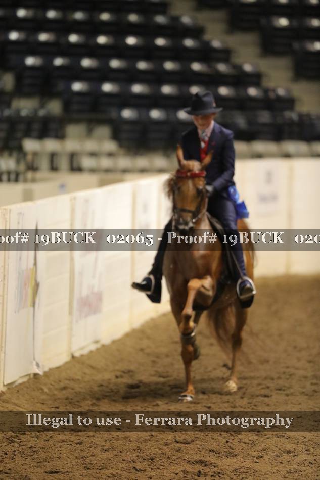 Proof 19BUCK_02065