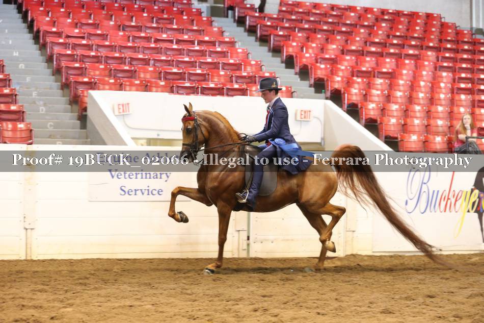 Proof 19BUCK_02066