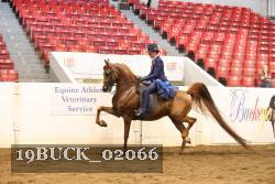 19BUCK_02066 proof