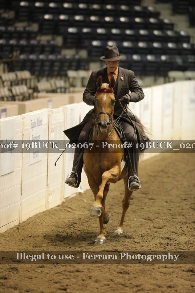 Proof 19BUCK_02067