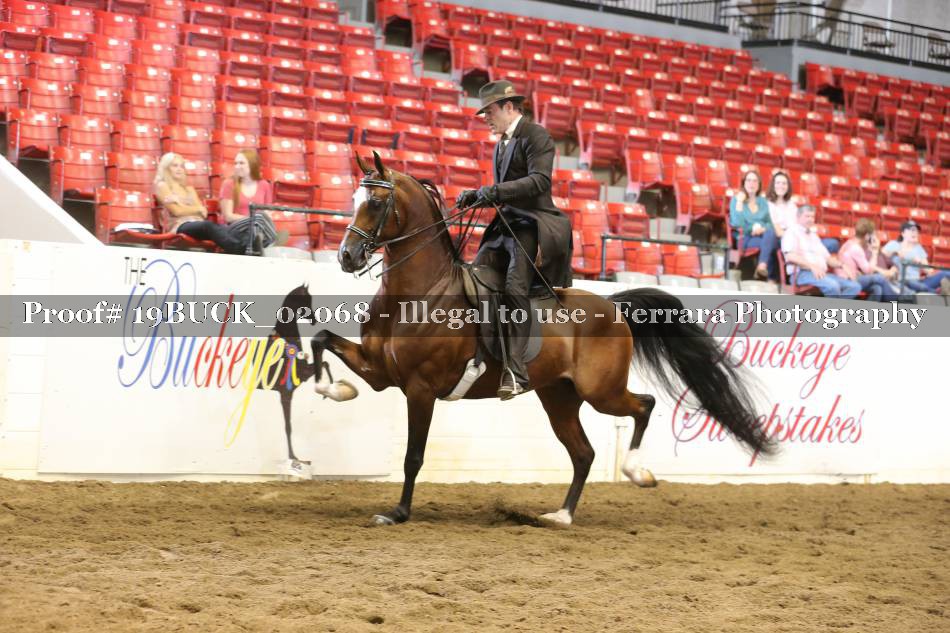 Proof 19BUCK_02068