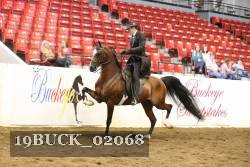 19BUCK_02068 proof