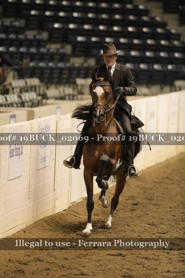 Proof 19BUCK_02069