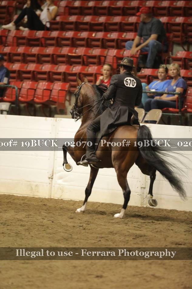 Proof 19BUCK_02070