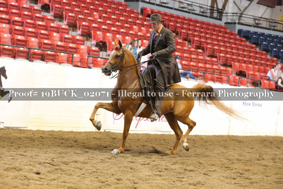 Proof 19BUCK_02071