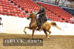 19BUCK_02071 proof
