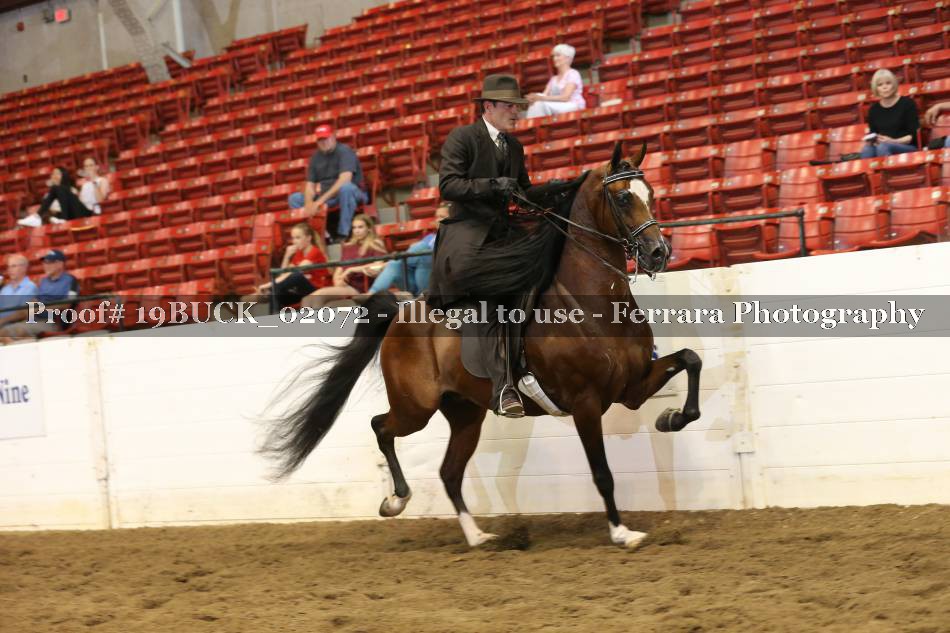 Proof 19BUCK_02072