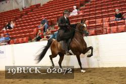 19BUCK_02072 proof
