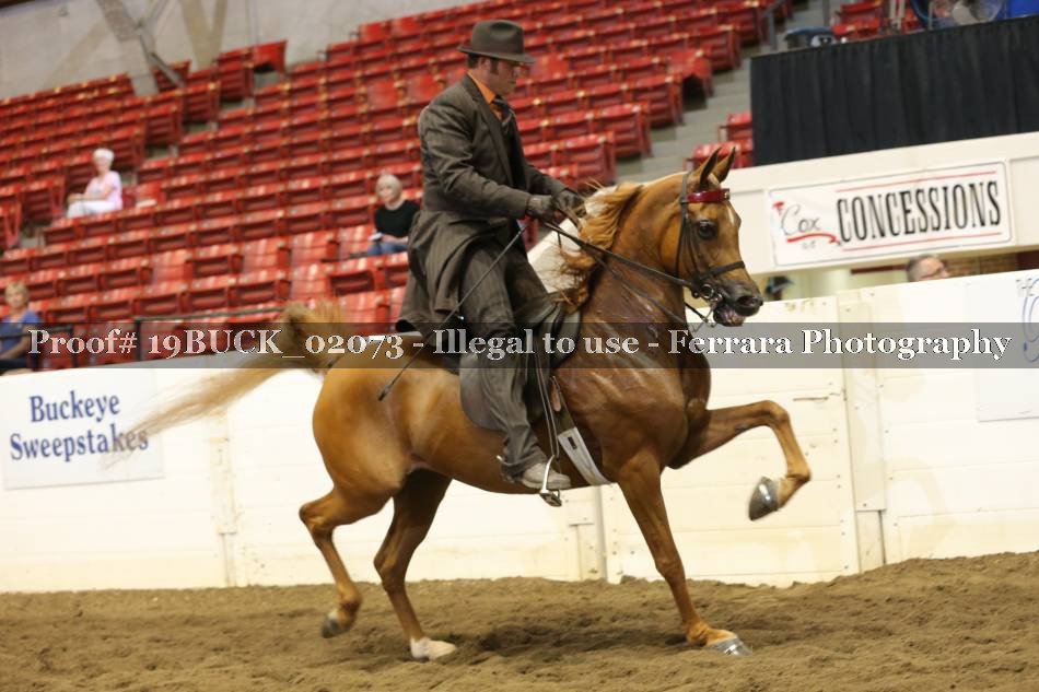 Proof 19BUCK_02073
