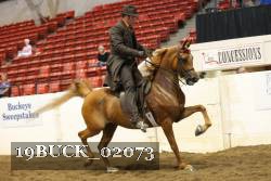 19BUCK_02073 proof