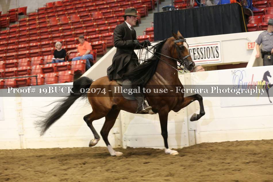 Proof 19BUCK_02074